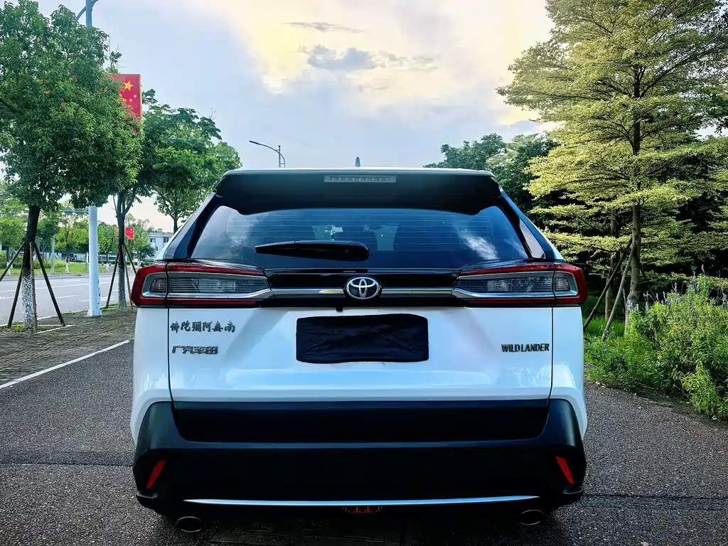 Toyota Wildlander — миниатюра 8