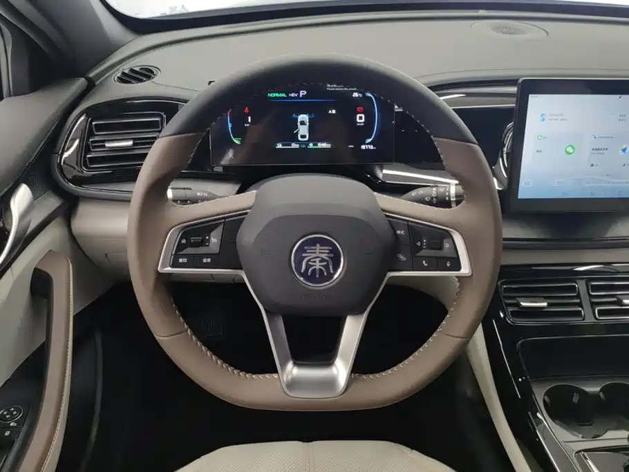 BYD Qin PLUS — миниатюра 15
