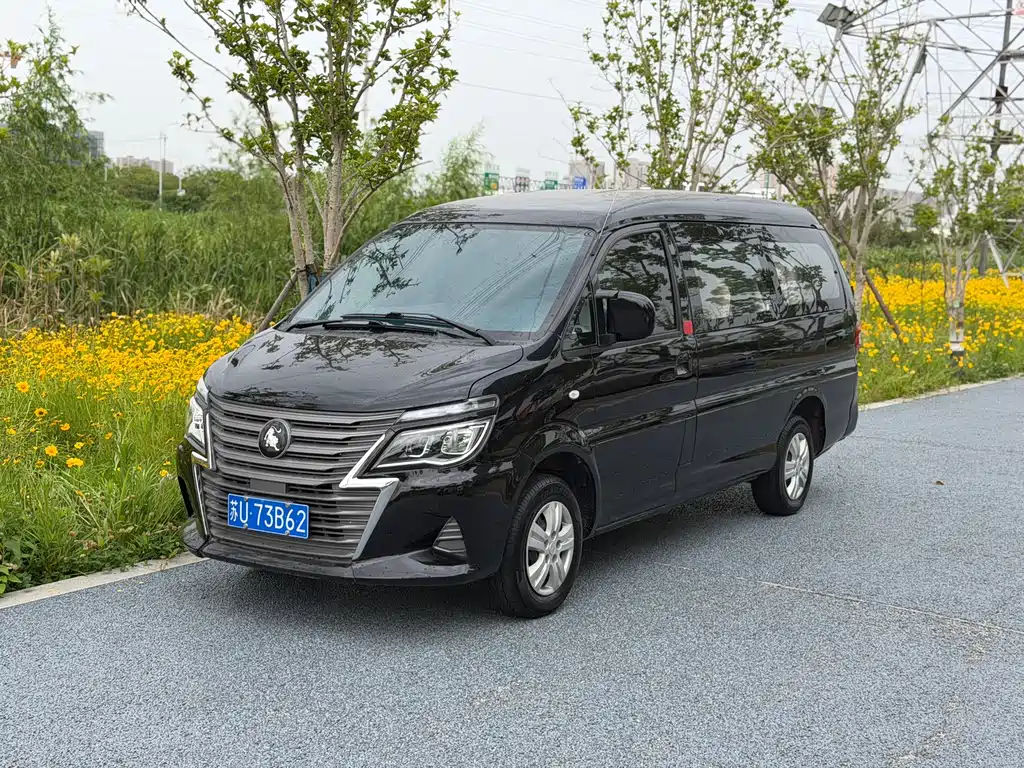 Купить Fengxing Lingzhi