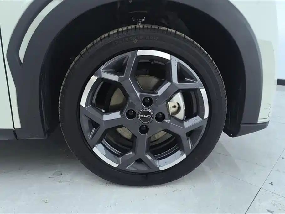 BYD Seagull 2025 405km Flying