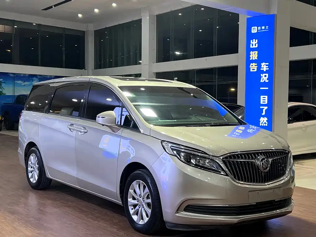 Buick GL8 — миниатюра 3