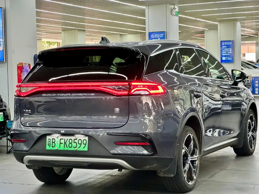 BYD Tang New Energy — миниатюра 12