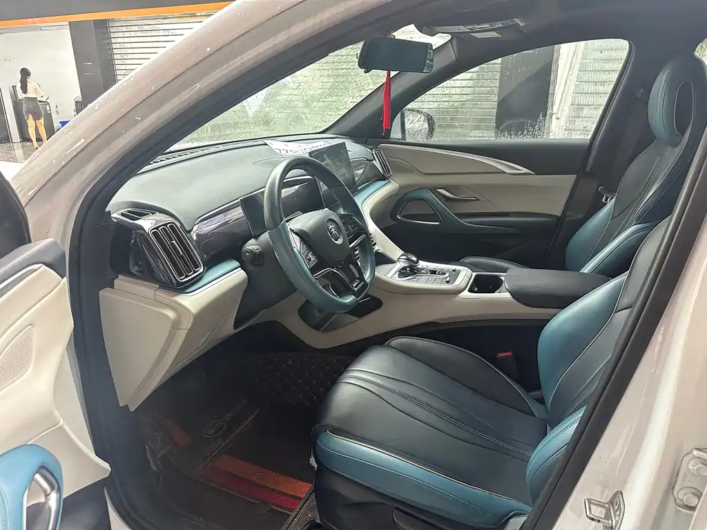 BYD Pro — миниатюра 4
