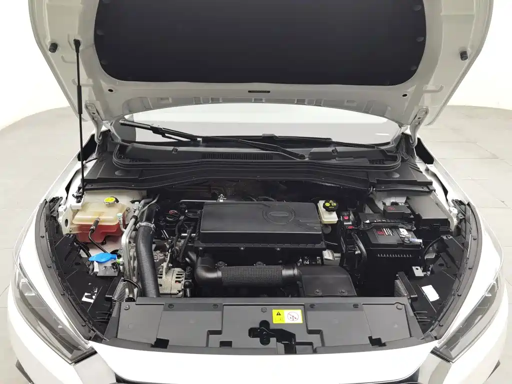 JAC A5 — миниатюра 6