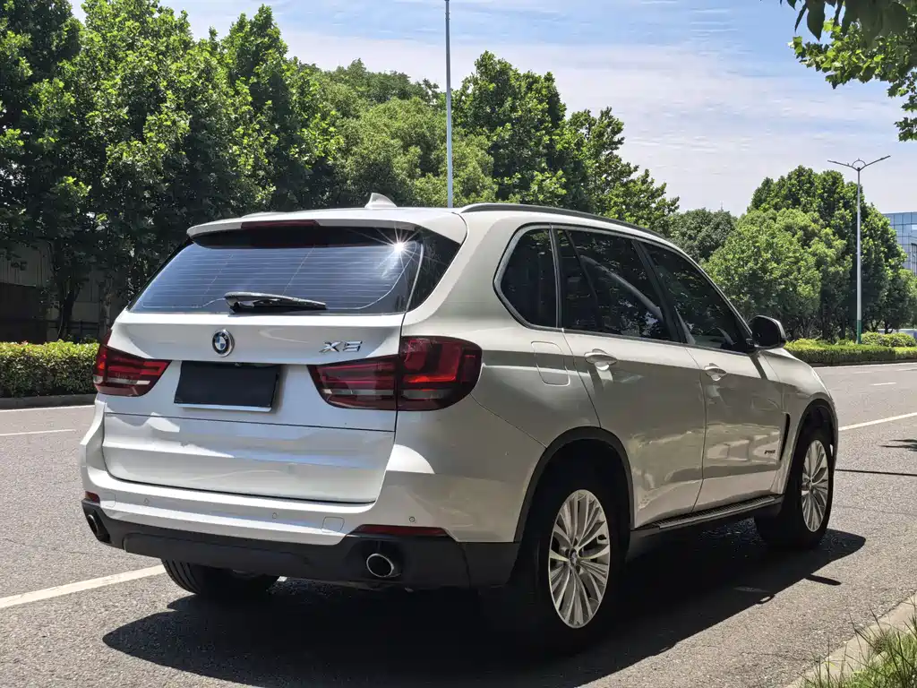 BMW X5 2014 xDrive35i Lead