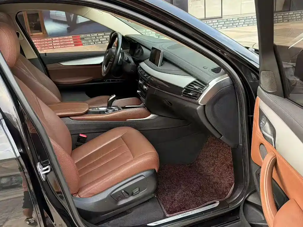 BMW X6 — миниатюра 7