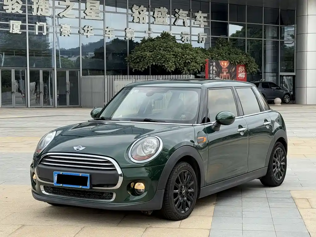 Mini Mini 2017