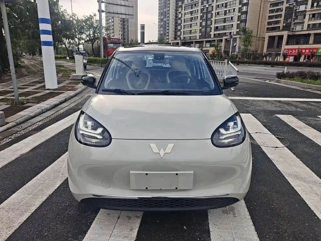 Wuling Binguo 2023 333km +