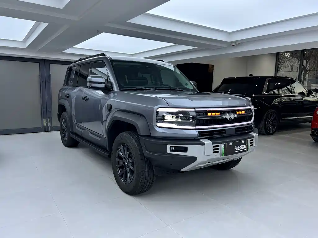 FANG CHENG BAO LEOPARD 5