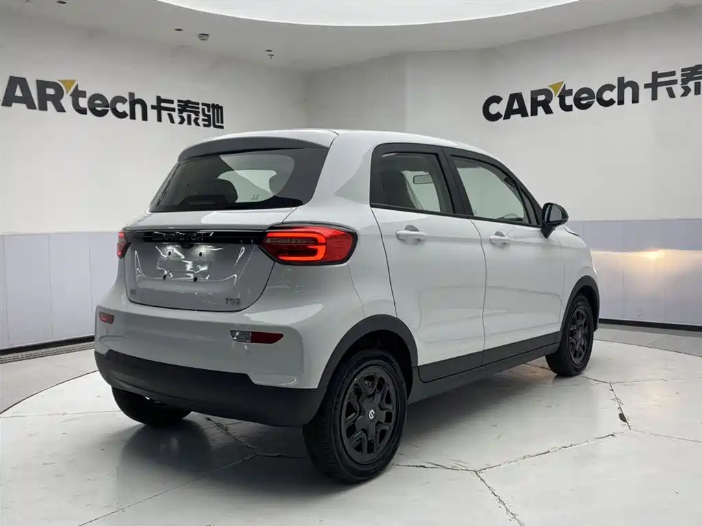 Leapmotor T03 2025 310