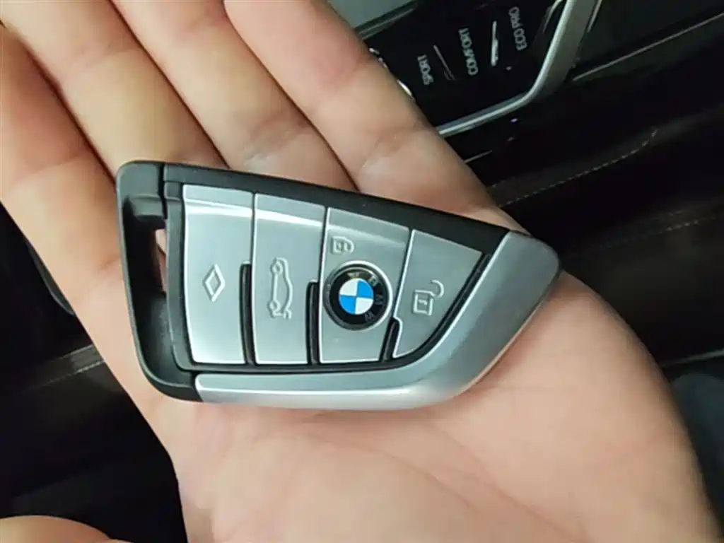 BMW 5 Series 5 2021 525Li Luxury