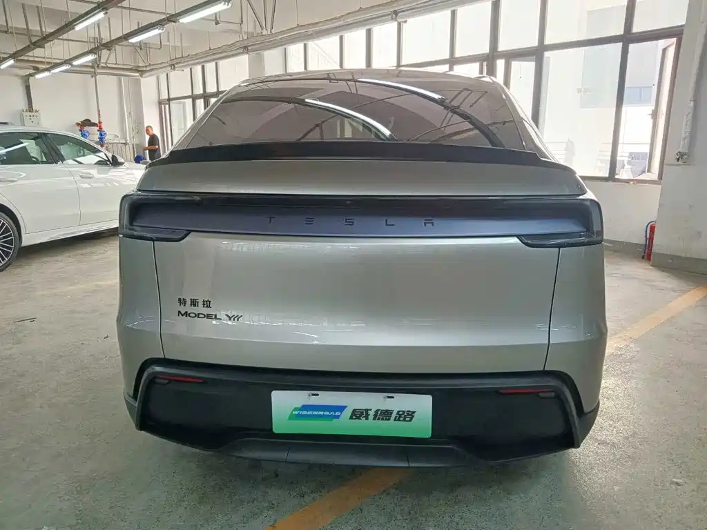 Tesla Model Y L — миниатюра 5