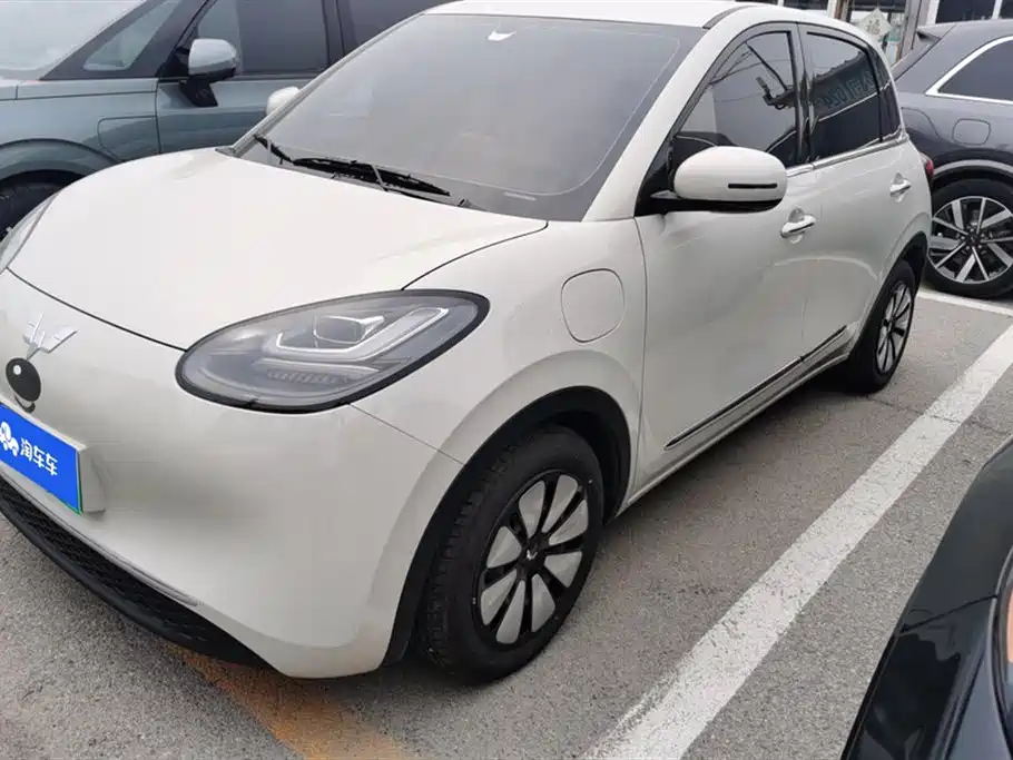 Wuling Bingo 2024