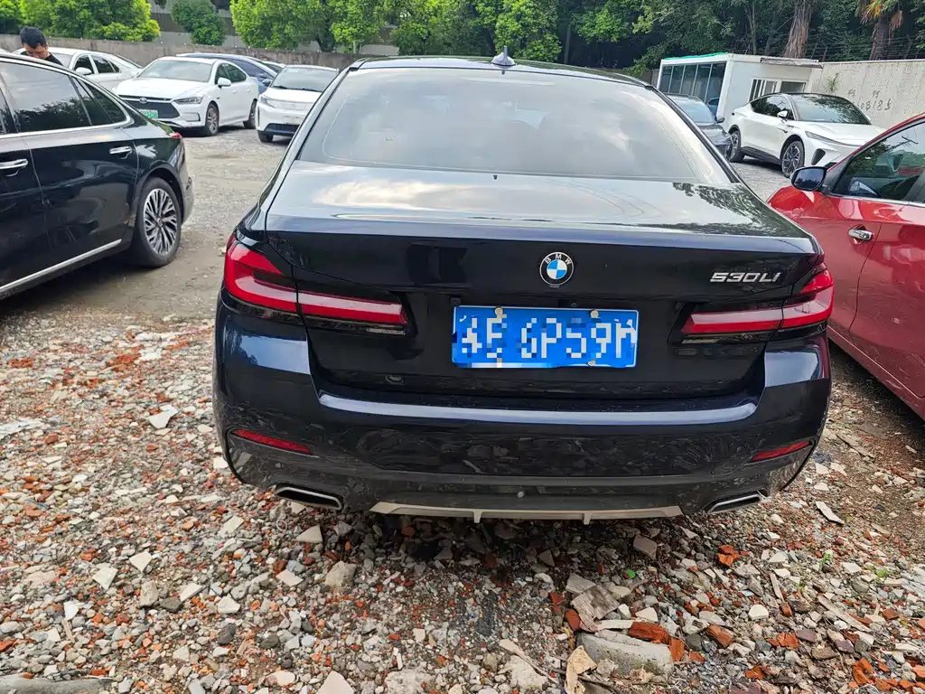 BMW 5 Series — миниатюра 5