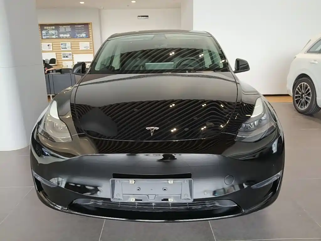Tesla Model Y 2022 Performance
