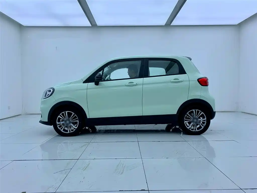 Leapmotor T03 2025 403