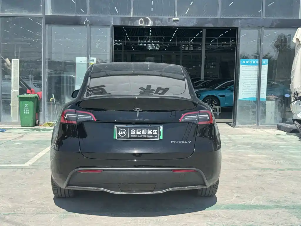 Tesla Model Y — миниатюра 9