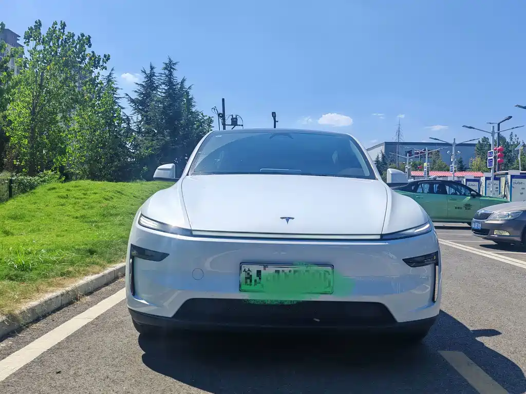 Tesla Model Y — миниатюра 2
