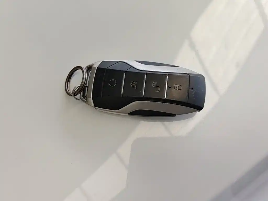 BYD Pro — миниатюра 9