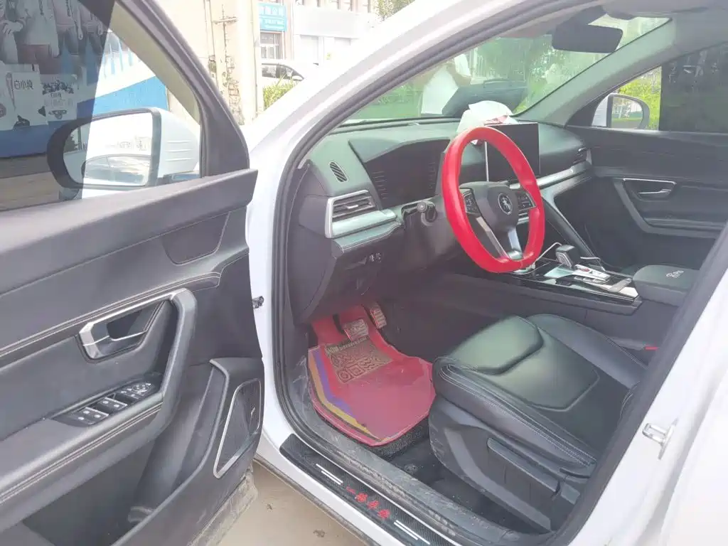BYD Pro — миниатюра 14