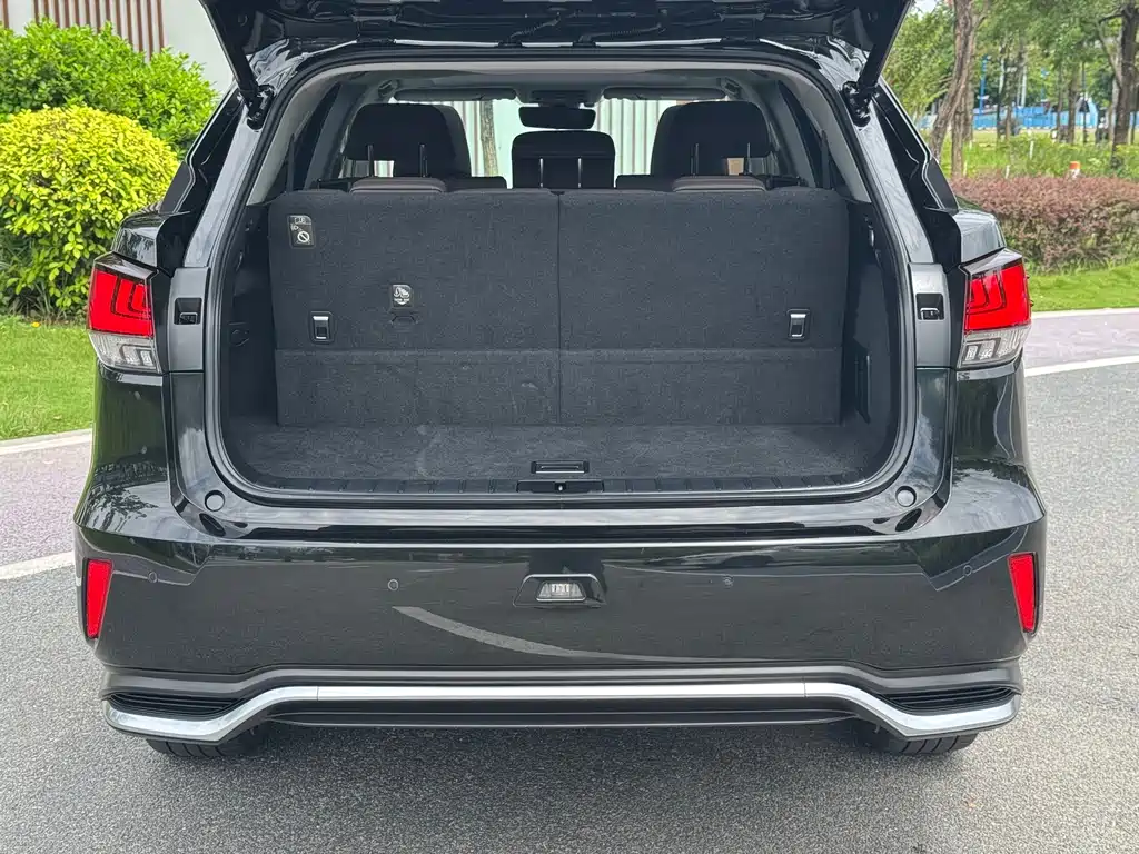 Lexus RX — миниатюра 17