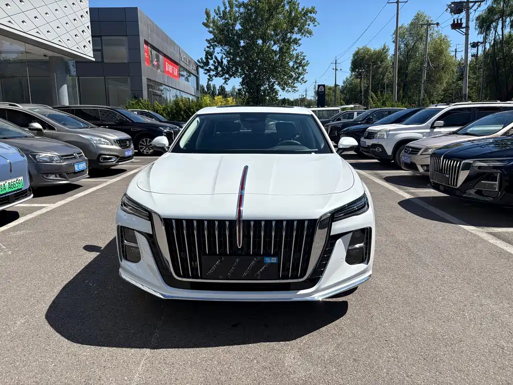 Hongqi H5 2025 2.0T AT