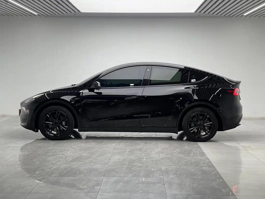 Tesla Model Y — миниатюра 7