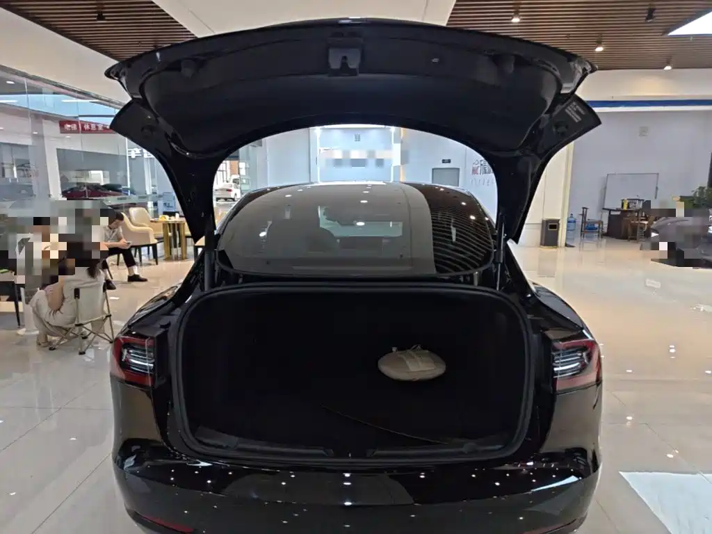 Tesla Model 3 — миниатюра 19