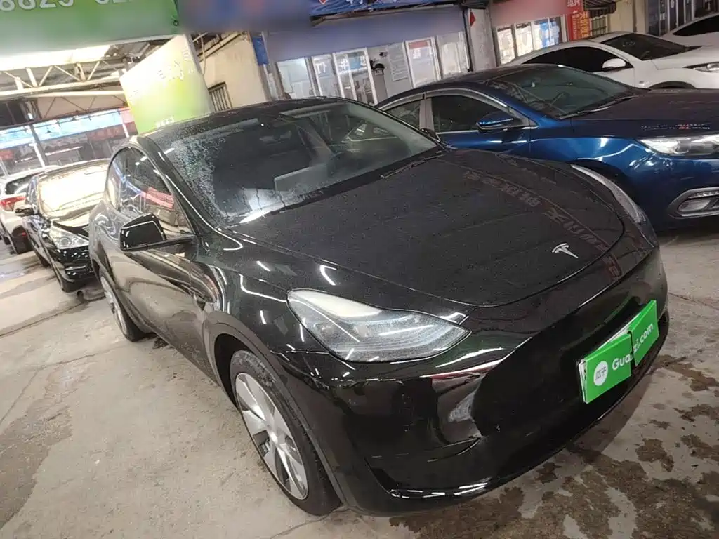 Tesla Model Y — миниатюра 4