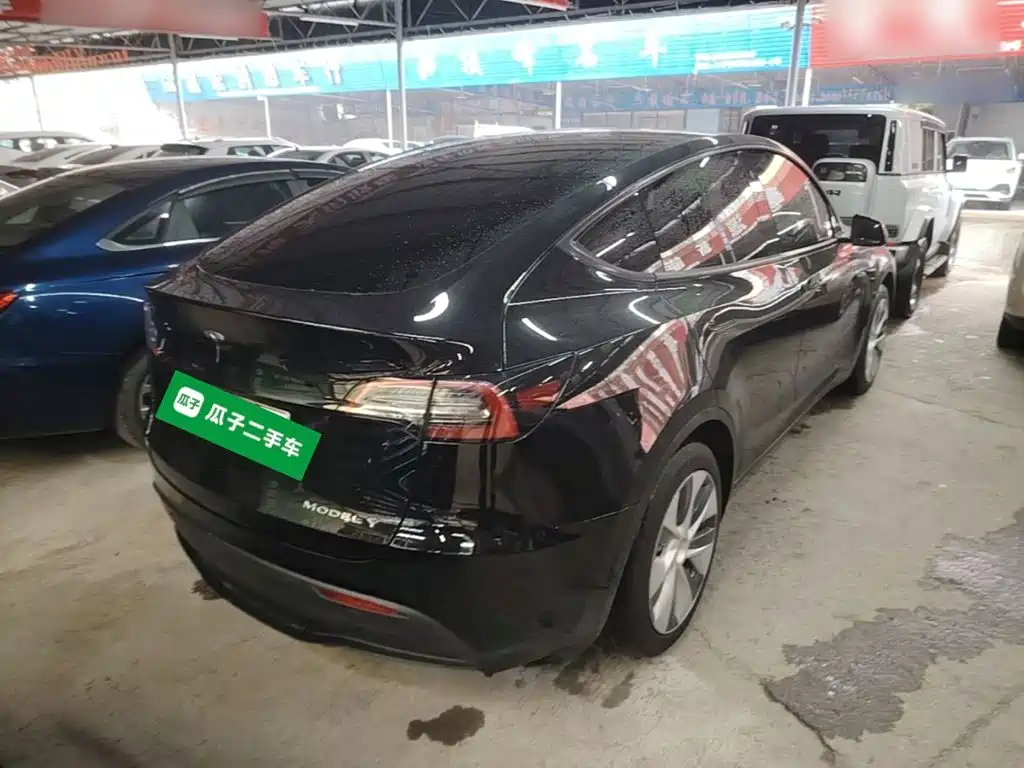 Tesla Model Y — миниатюра 7