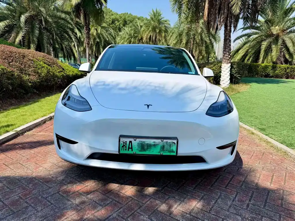 Tesla Model Y — миниатюра 2