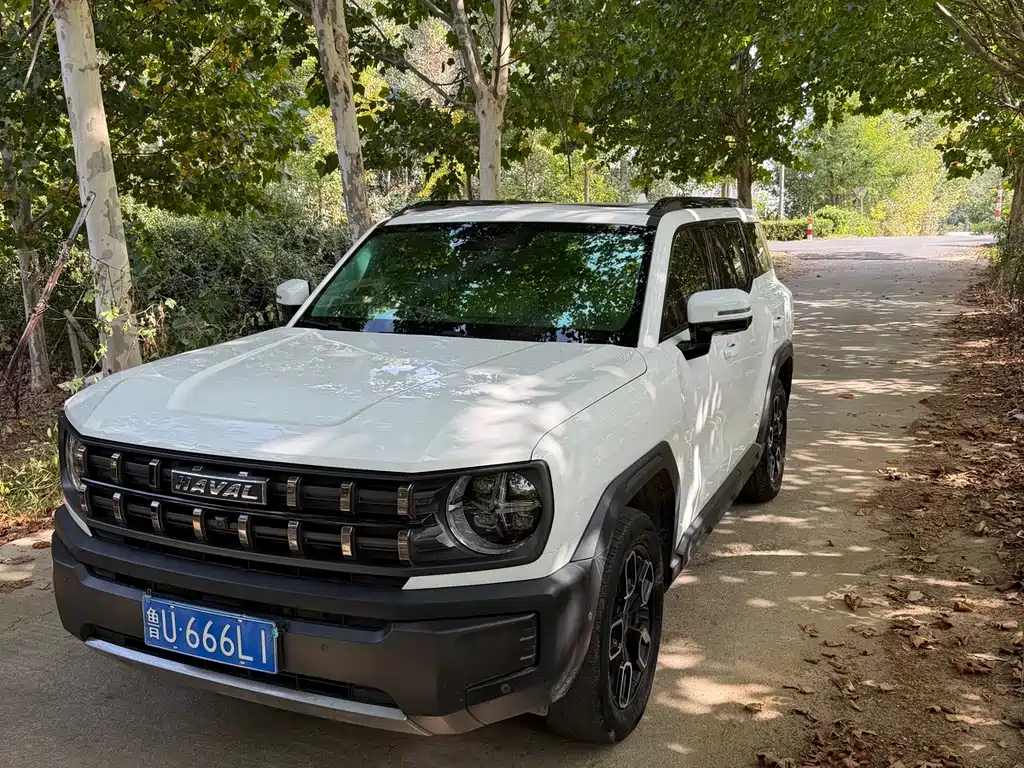 Haval Cool Dog — миниатюра 2