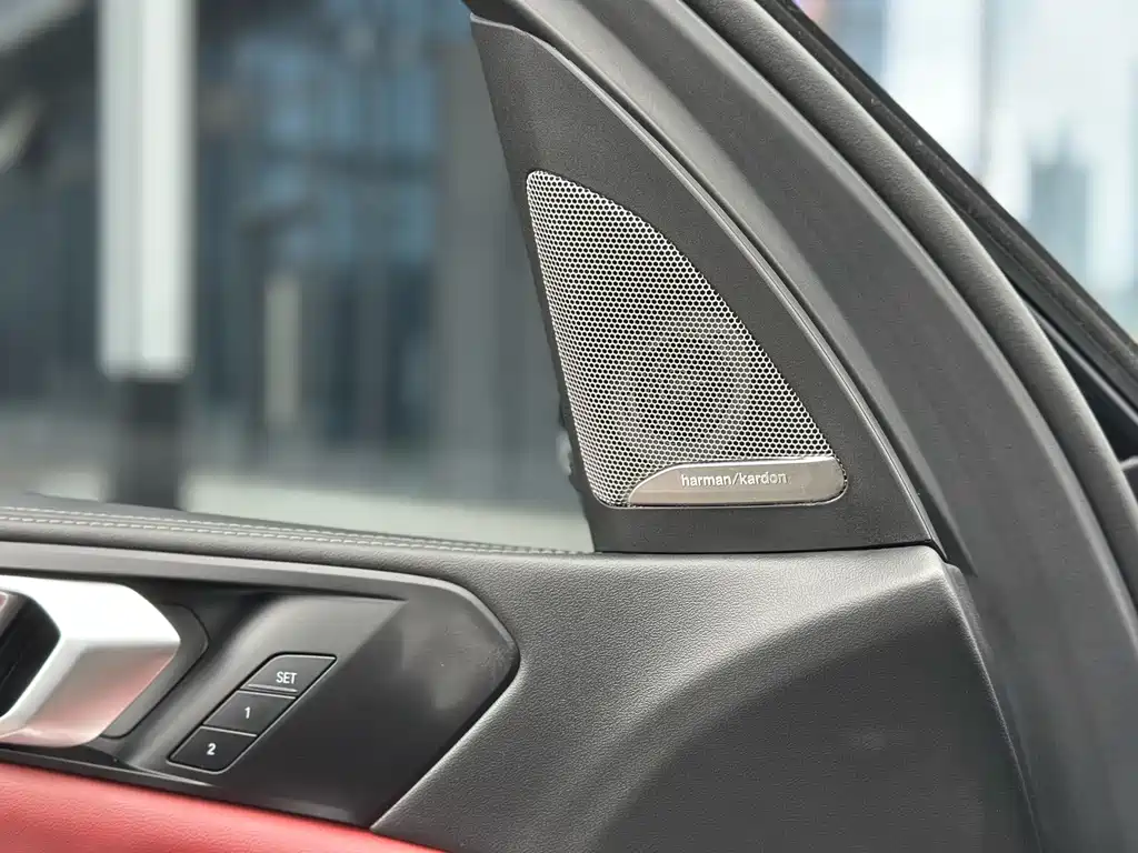 BMW X5 — миниатюра 8