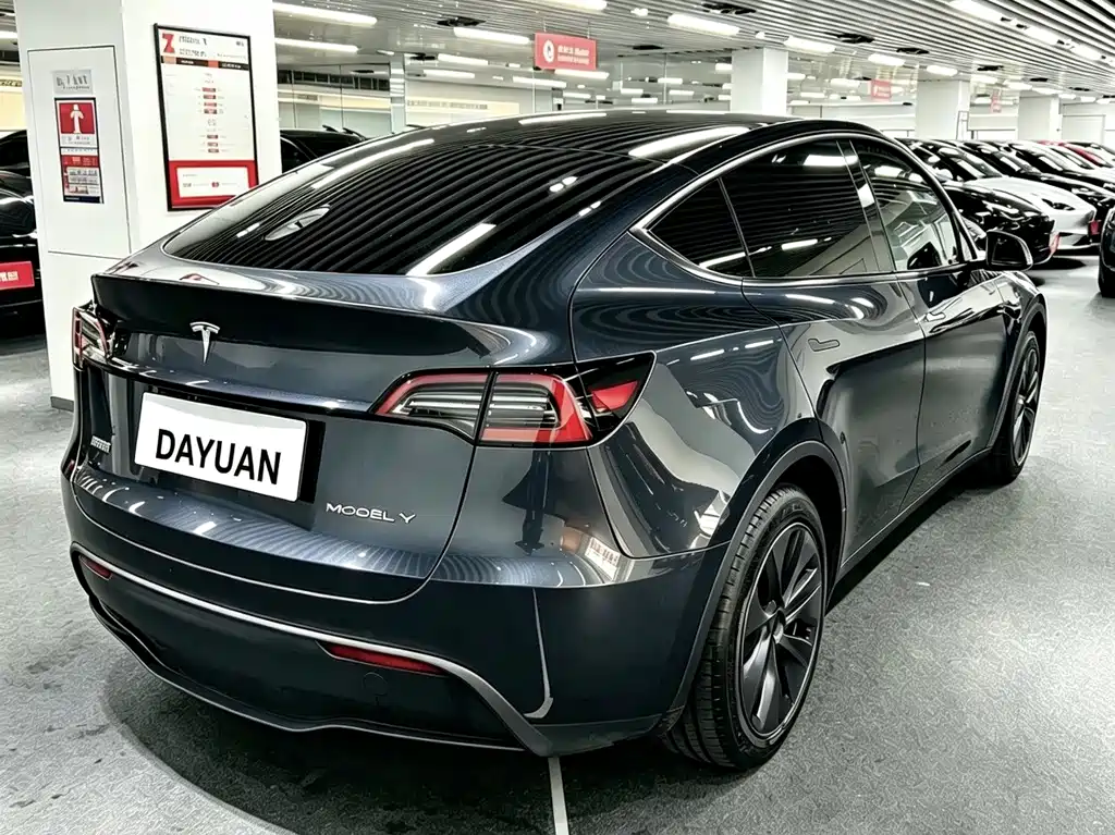 Tesla Model Y — миниатюра 7