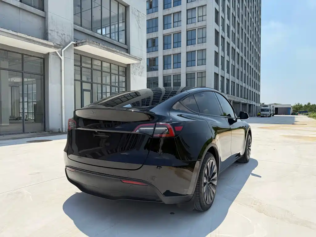 Tesla Model Y — миниатюра 9