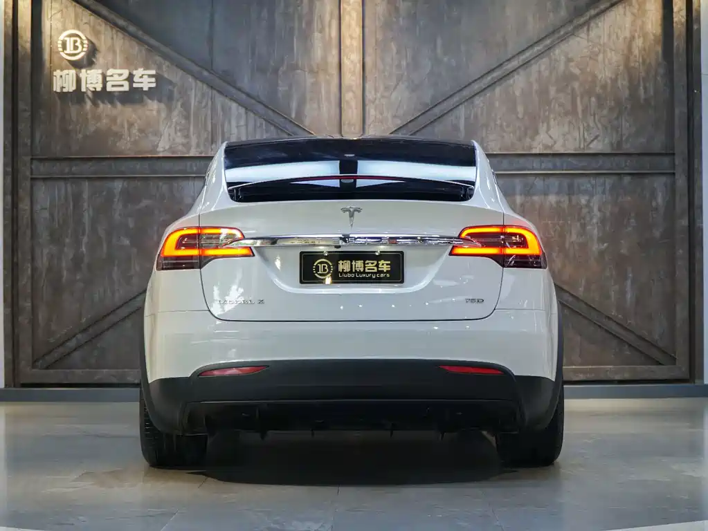 Tesla Model X — фотографии объявления, Фото 4