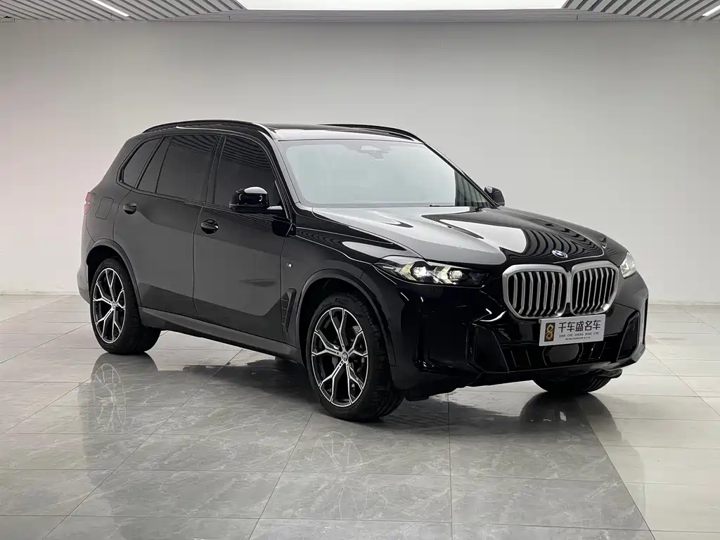 BMW X5 — миниатюра 3