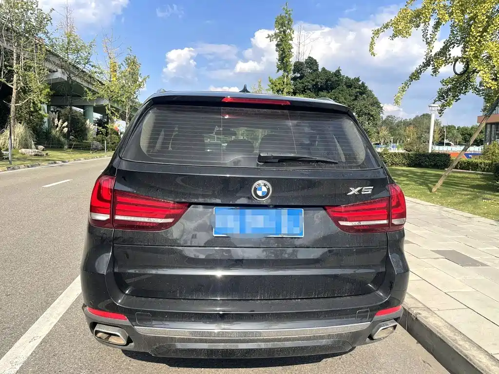 BMW X5 (Import) — миниатюра 8