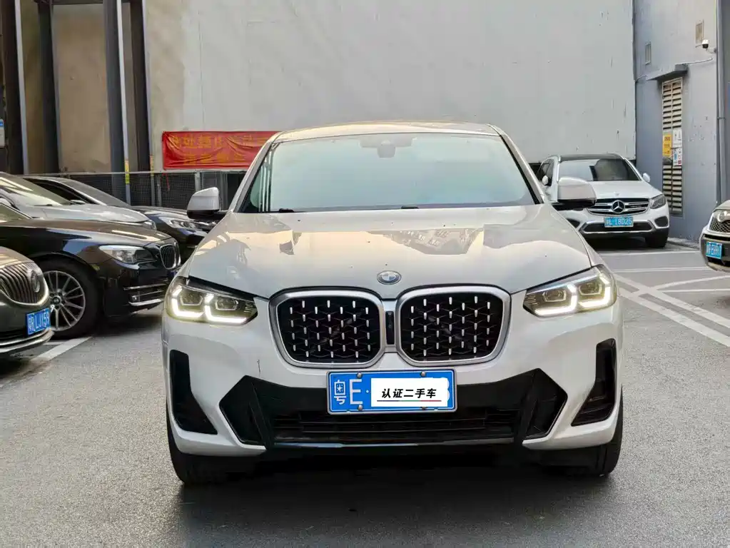 BMW X4 — миниатюра 2
