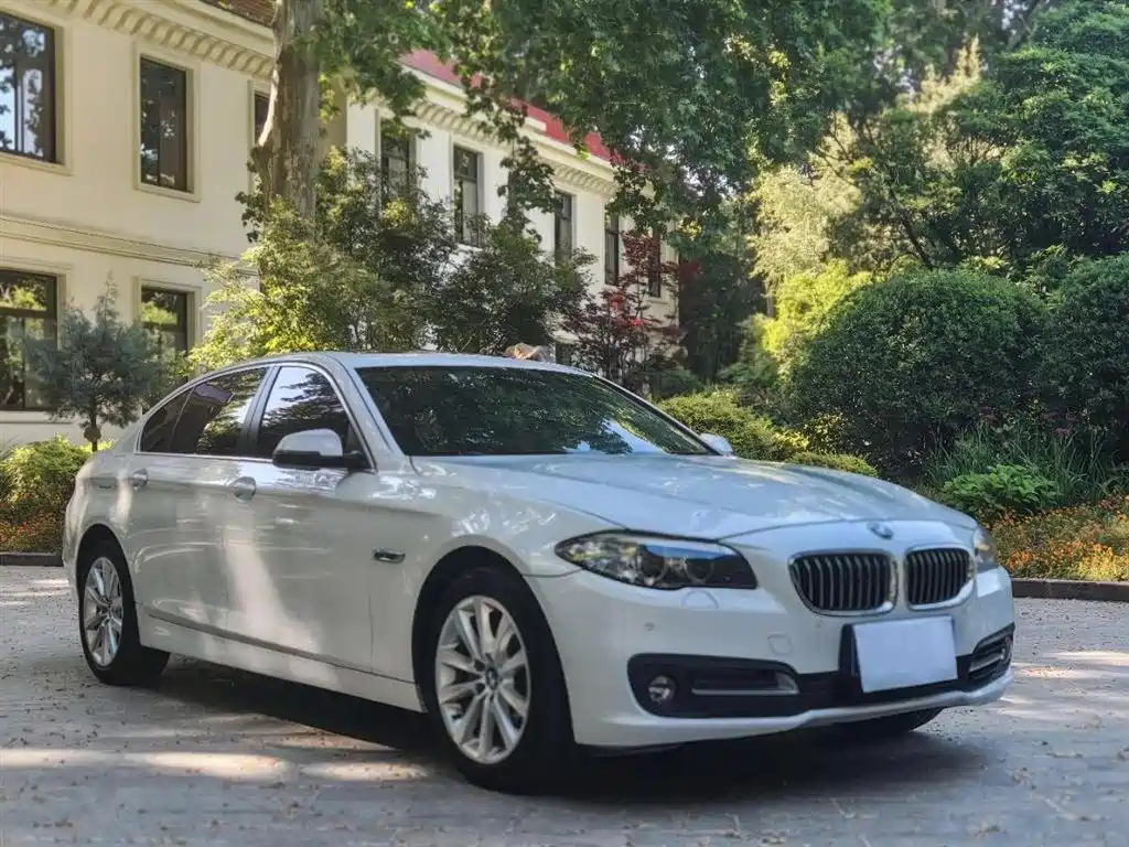 BMW 5 Series 5 2014 530Li Lead