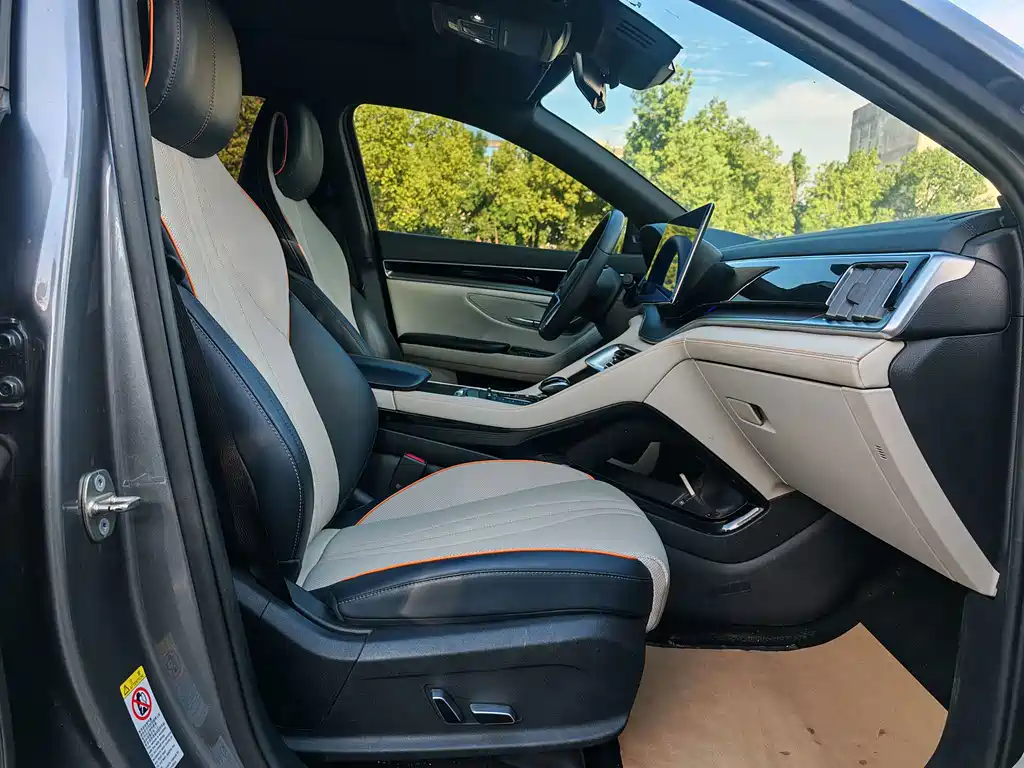 BYD PLUS New Energy — миниатюра 9