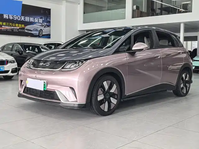 2022 BYD Dolphin