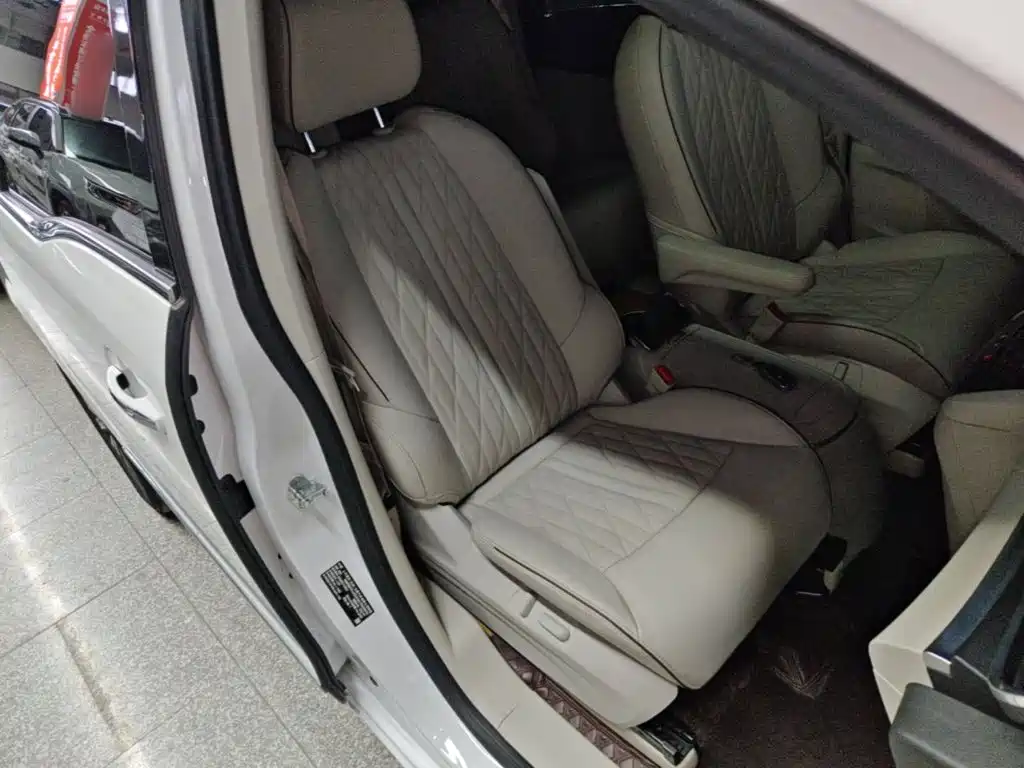 Buick GL8 — миниатюра 25