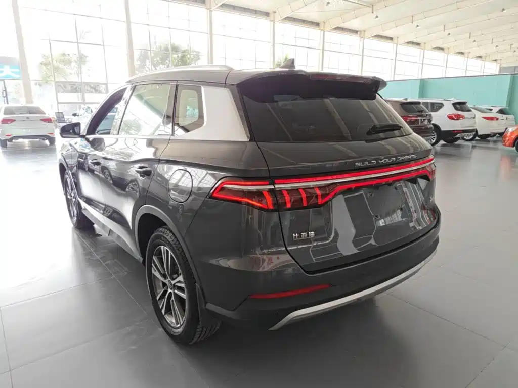 BYD Pro — миниатюра 23