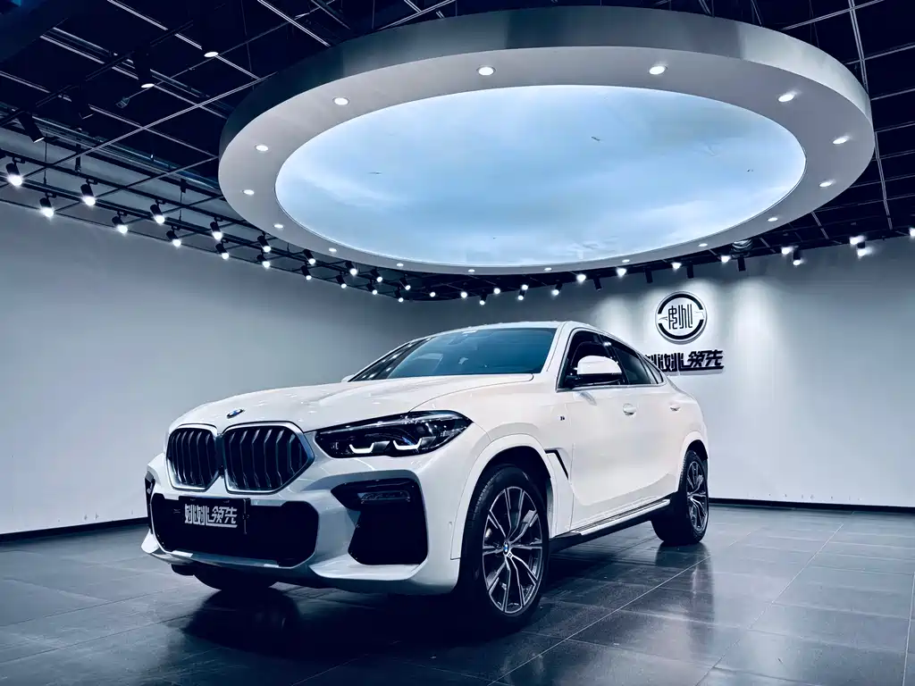 BMW X6 2021