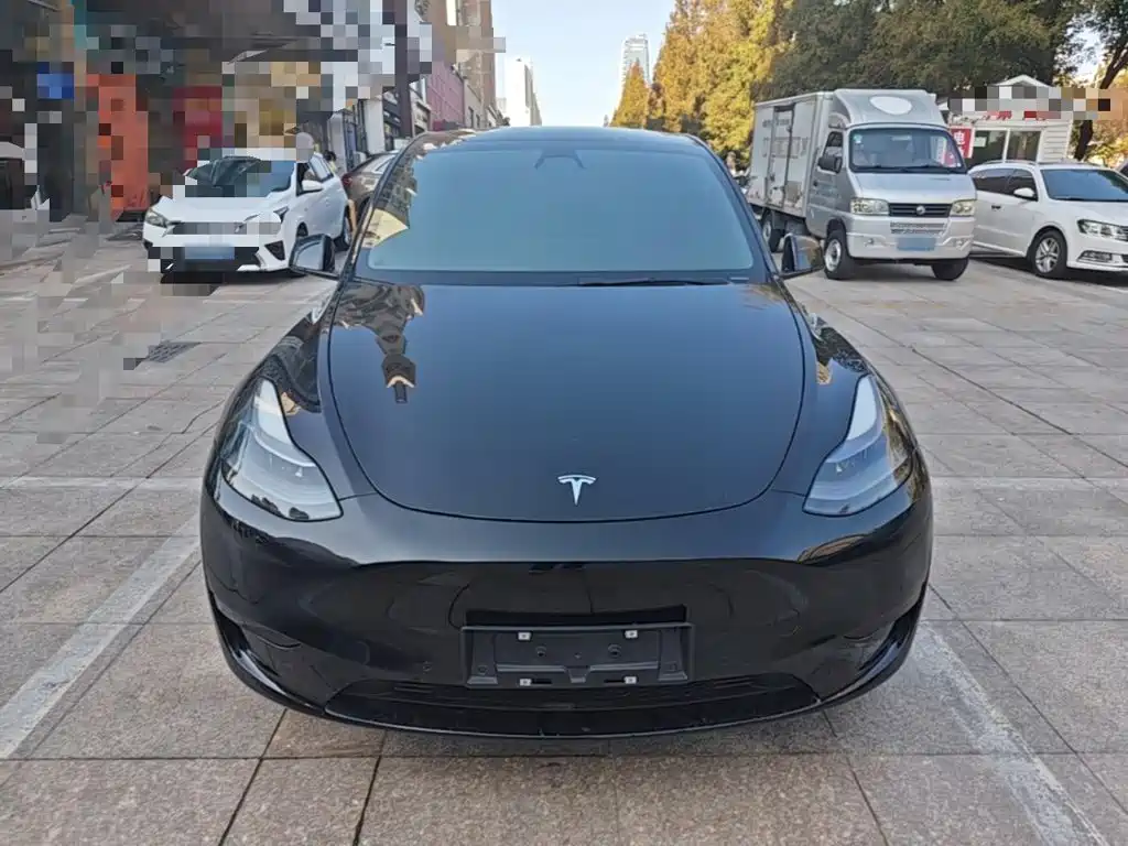 Tesla Model Y — миниатюра 3
