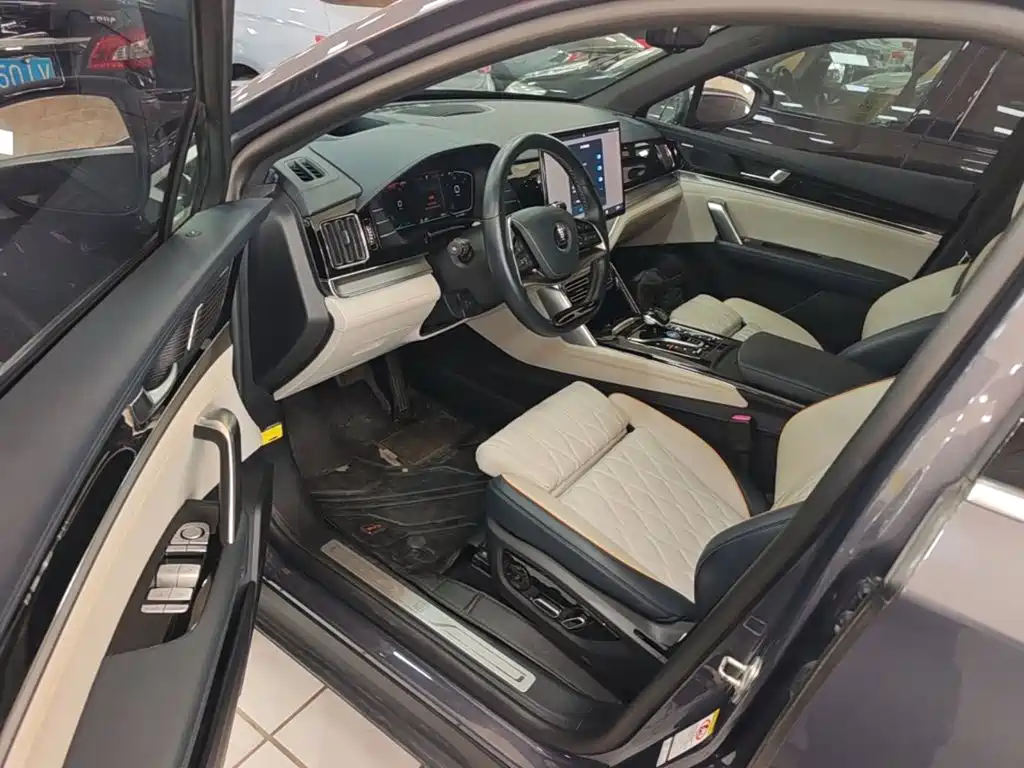 BYD Tang New Energy — миниатюра 16