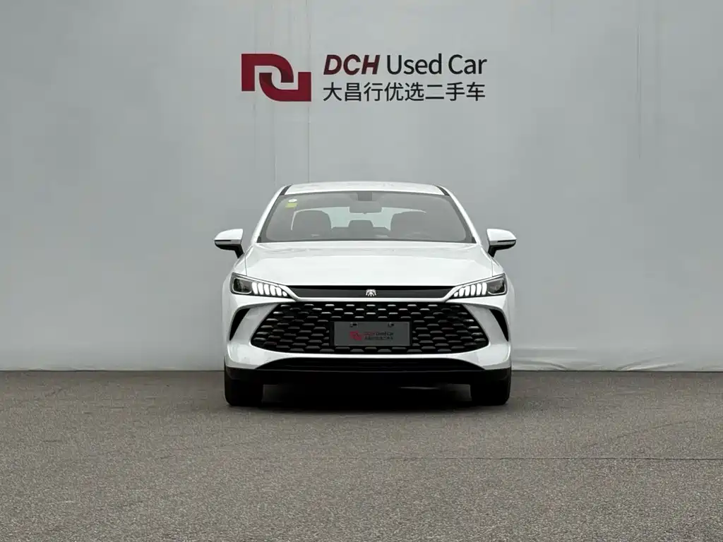 BYD Qin Plus PLUS 2025 DM-i Smart Drive 55KM Lead