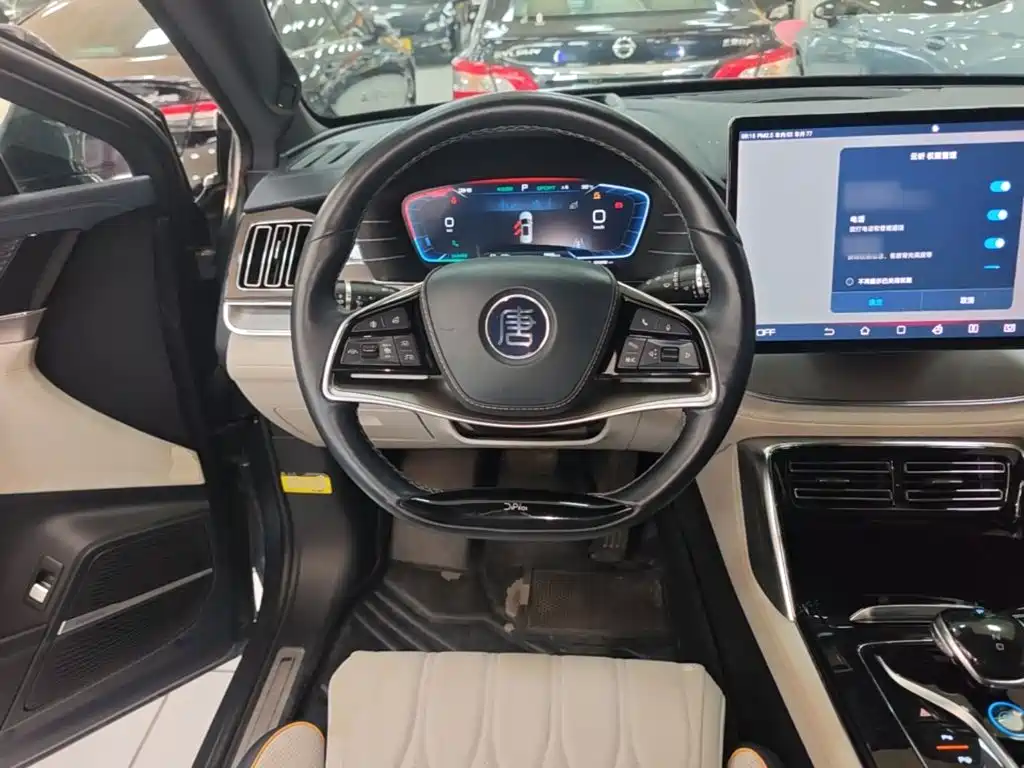 BYD Tang New Energy — миниатюра 11