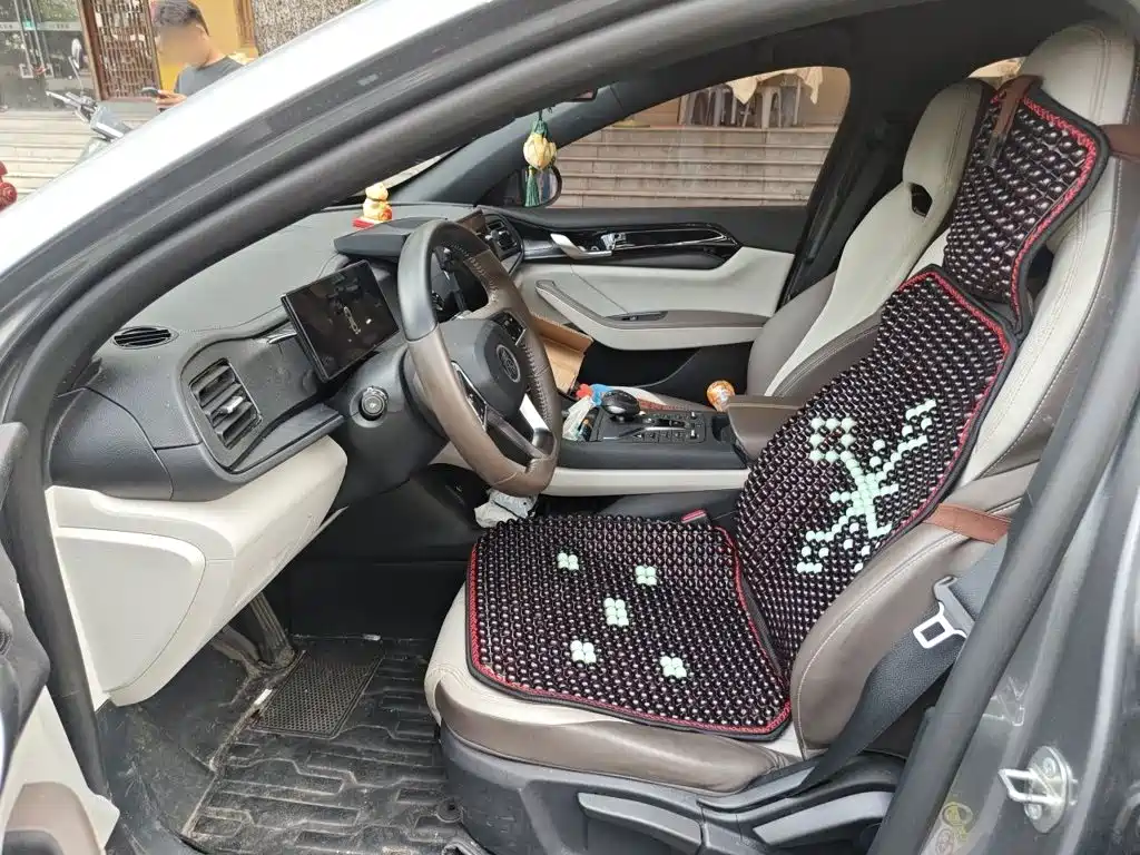 BYD Qin Plus PLUS 2023 Champion DM-i 55KM Lead